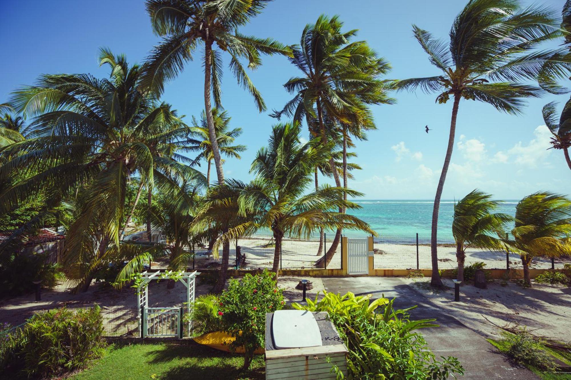 Le Touloublue - Tres Bel Appartement Face A La Mer แซนต์-อาน ภายนอก รูปภาพ
